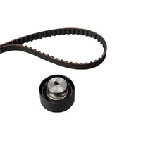 INA Timing Belt Kit for Abarth 500 / 595 / 695 312 1.4L 312 A1.000 08-21