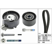 INA Timing Belt Kit for Citroën Berlingo 1.6L NFU (TU5JP4) 08-21