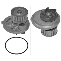 INA Water Pump for Chevrolet Captiva 2.4L LD9(146CUL4) 06-11 100.0kW