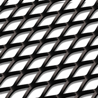 SAAS Body Kit Mesh - Black 900mm x 280mm 19981