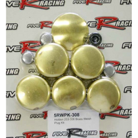 Welch Plug Kit Brass For Holden V8 253 304 308 5.0