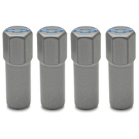ACDelco Valve Cover Studs with Mini Hex Nuts Bowtie Emblem Steel Metallic Gray 1/4 in.-20 1.5 in. Length