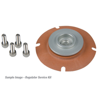 Aeromotive Regulator Rebuild Kit for AEI-13102 AEI-13103 AEI-13152 AEI-13153 Kit