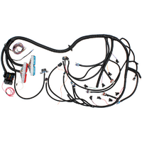AF49-1512 - LS1 STANDALONE WIRING
