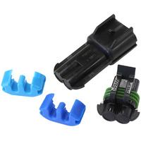 AF49-1557 - Delphi  / walbro / Ti blank