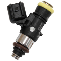 AF49-1911 - BOSCH 2200CC CNG FUEL INJECTOR