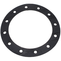 AF59-2250 - REPLACEMENT PTFE GASKET SUITS