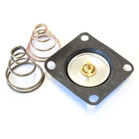 AF59-4000 - REPLACEMENT DIAPHRAGM WITH