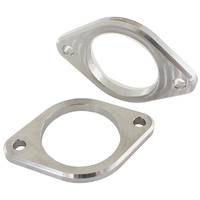 AF9551-0010 - 2 Bolt stainless flange 3"