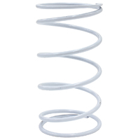 AF9552-1106 - WASTEGATE WHITE MIDDLE SPRING