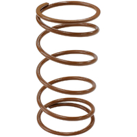 AF9552-1107 - WASTEGATE BROWN OUTER SPRING