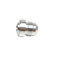 AF999-06D-25 - ALLOY WELD ON MALE BUNG