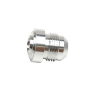 AF999-12D-25 - ALLOY WELD ON MALE BUNG