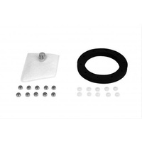 Aeromotive Replacenment Strainer Filter & Gasket Suit Flex Phantom ARO12611