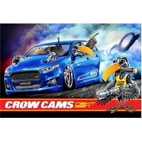 Crow Cams Crow For Ford Burnout Car Banner  BANNER-FORD