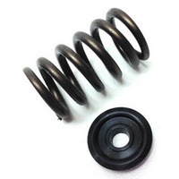 Brian Crower EJ20 Ej25 Single Valve Spring BC0600S