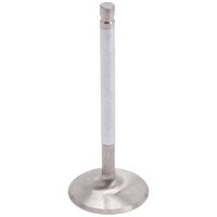 Edelbrock Intake Valves ED9755