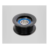 Nuline idler/tensioner pulley 6PK 53mm OD 17mm ID 29mm W EP033