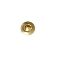 ESS Rupture Disk