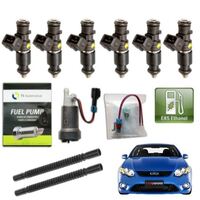 1000cc Bosch Injector & Walbro 460 Fuel Pump Kit E85 Suit Ford Falcon FG Sedan