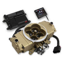 Holley EFI Fuel Injection System Terminator Stealth EFI Gold Throttle Body Kit