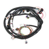 Holley EFI Wiring Harness EFI Main Harness HP Dominator For Chevrolet 6.0L HLY-550-603 Kit