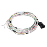 Holley EFI Wiring Harness J1A/B Dominator Holley Kit