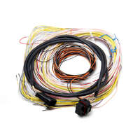 Holley EFI Wiring Harness EFI Dominator Holley Kit