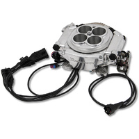 Holley Sniper EFI 4BBL Self Tuning System Shiny Finish 800 cfm 8 Injector