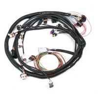 Holley LS2/LS7 Main Wiring Harness Suit HP & Dominator EFI With 58x Crank Sensor