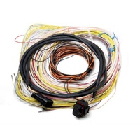 Holley Auxiliary Harness J2A Connector Suit Dominator EFI 558-401