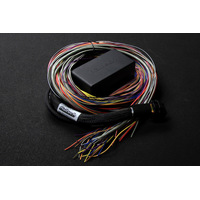 Haltech Elite 550 Premium Universal Wire-in Harness