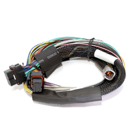 Haltech Elite 2500 & 2500 T Basic Universal Wire-in Harness