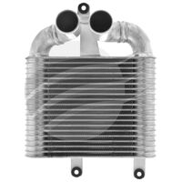 Jayrad intercooler for Holden Rodeo RA turbo diesel 4JJ 3.0 2003-2008 IC9350