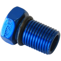 Kinsler Nozzle Plug 1/2-20, supplied With O-Ring