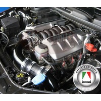 MSPEC CUSTOM BUILT AIR FILTER KIT TO SUIT VE 6.0L LS2 COMMODORE BLACK 