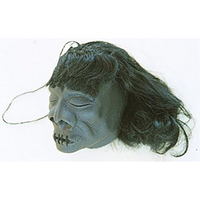Mooneyes Shrunken Head Small, 3" Height