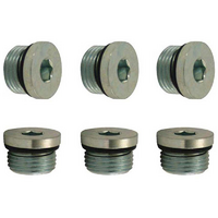 Moroso OIL PAN ACCESS PLUGS (6-PACK)