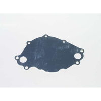 Meziere Small Block for Ford 5.0L Backing plate Polished mates to WP111 pump