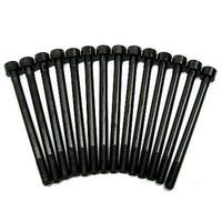 Nason cylinder head bolt set for Nissan Skyline R31 RB30 RB30E RB30T Holden Commodore VL NHBS083