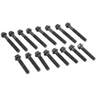 Nason cylinder head bolt set for Holden Commodore 3.8 Ecotec V6 VS VT VX VU VY NHBS088