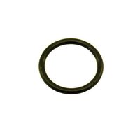 Nitrous Express 1 1/8 O-Ring (Fits 5-10-12-15Lb Bottle Valve)