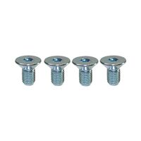 Proflow Water Pump Pulley Bolts Chrome 5/16 in.-24 x 5/8 in.