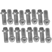 Proflow Header Bolts Hex Head 3/8 in. Custom Stainless Steel For Chevrolet For Ford Set of 16 PFEEHBST