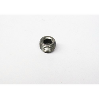 Pioneer Pipe Plugs 1/4"NPT with Hex Socket PIPP-567