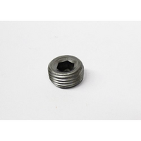 Pioneer Pipe Plugs 1/2"NPT with Hex Socket PIPP-568