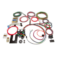 Painless Wiring 21 Circuit Universal Street rod Harness GM Keyed Column PW10101