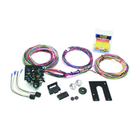 Painless Wiring Holden 21 Circuit Harness Kit PW10115