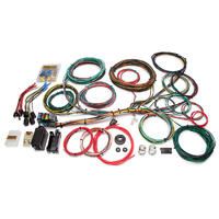 Painless Wiring 21 Circuit Universal for Ford Muscle Car Wiring Harness Falcon Etc