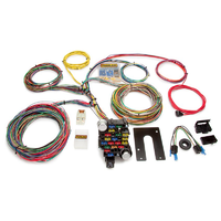 Painless Wiring 28 Circuit Universal Harness Kit Non GM Column PW10202